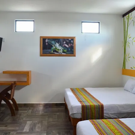 Hotel Axolotl Puerto Escondido  Exterior foto